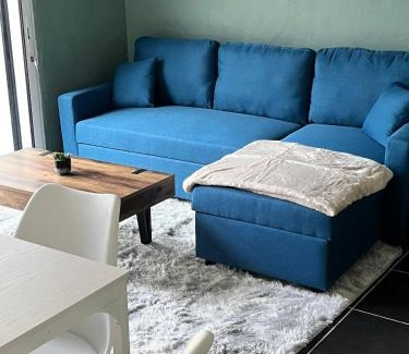 Dernier Sou Apartment | SPA hyper centre jardin