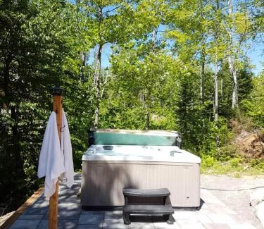 Sainte-Emelie-de-L'Energie Ski Chalet | Spa & Lake Access - Cariboo