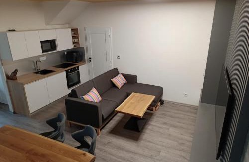 Lojzova Paseka Apartment | SPA Lakeside LIPNO CLUB
