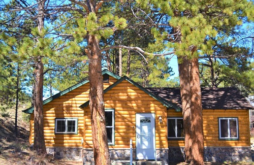 Estes Park House | SPA RIVER CABIN On River, Hot Tub, 5 Min RMNP 3Bdrm/2Ba, Firepit