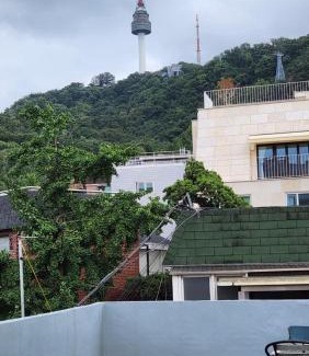 Myeongdong House | SPACE Guesthouse