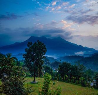 Kalpetta Resort | Space Rock Resort