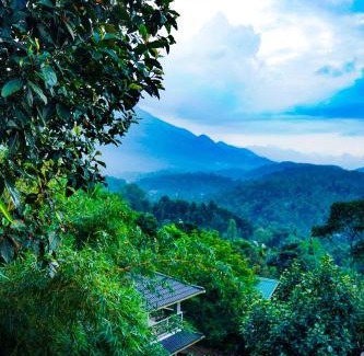 Kalpetta Resort | Space Rock Resort