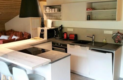 La Clusaz Apartment | Spacieux appart rénové avec balcon sud, proche pistes et bus à La Clusaz - FR-1-459-167