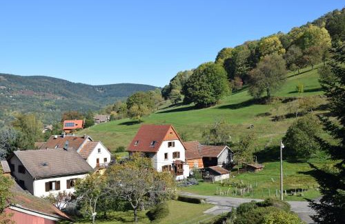 Sondernach Apartment | Spacieux et confortables gîtes à proximité randonnées, lacs, ski nature