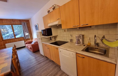 Saint-Michel-de-Chaillol Apartment | Spacious 10-Person Apartment Near Slopes with Free WiFi, Pet-Friendly, and Optional Services