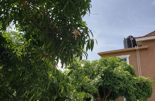Portmore House | Spacious 2 bedroom, 1 bathroom detached house - 15 minutes from beach!