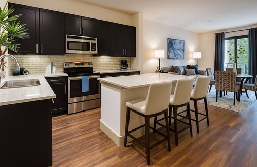 Astrodome Apartment | Spacious 2BR @ Med Center MD Anderson Gated Walking Distance to 2BR Pool & Gym