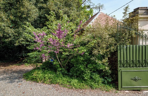 Bourgueil House | Spacious 4-Bedroom House for 10 Guests in Bourgueil, near Vineyards
