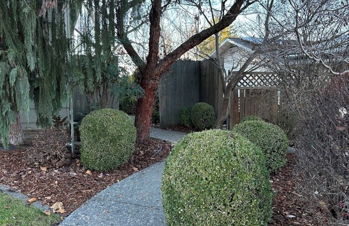 College Place House | Spacious 4 bedroom house with hot tub, private deck, EV charger 10 min from WW