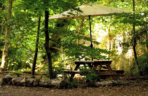 Burghclere RV Rental | Spacious and cosy 6 meter themed Moroccan Bell Tent in a woodland clearing