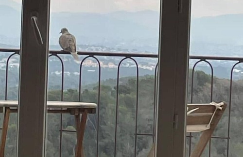 Mougins Apartment | Spacious and quiet rental flat with an amazing view