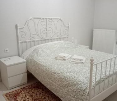 Anatoli Apartment | Spacious Apartment Anatoli Ioannina
