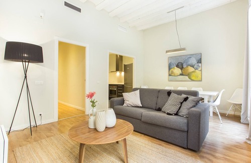 El Raval Apartment | Spacious apartment at few steps to las Ramblas, Liceu and Boqueria Market!