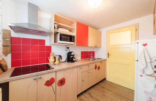 Ljubljana Apartment | Spacious Bah Apartment