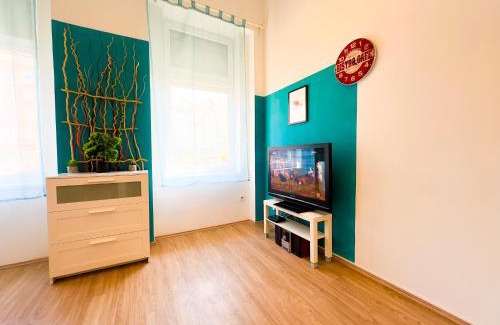 Orszagut Apartment | Spacious Buda Apartment Air Conditioning