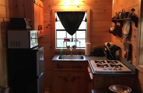 Trumansburg Cabin | Spacious cabin perfect for romantic escapes and family vacations!