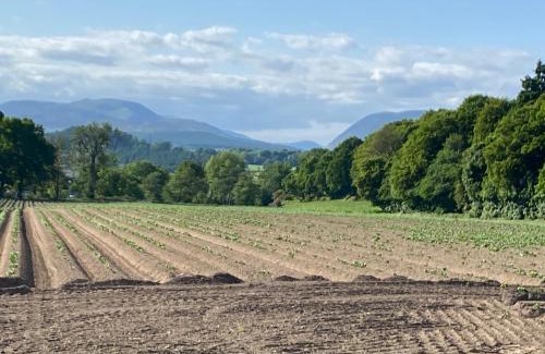 Crieff House | Spacious cottage - walk to Crieff