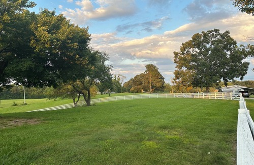 Pine Knot House | Spacious Country Home - uniquely located for great family fun