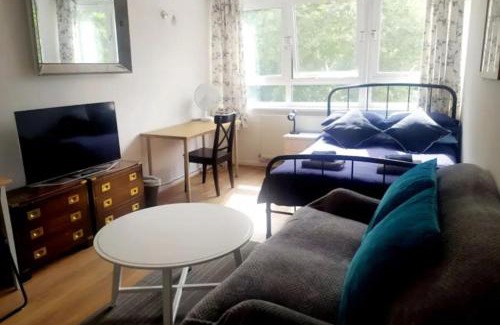 Queenstown House | Spacious Double Room by Batteresa Park - Zone 1