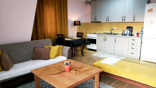 Matiçan Apartment | Spacious Downtown Apartment with a City View