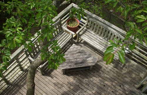 Davis Park House | Spacious Fun House Available August 25th - September 1st, 2025 Book Now!