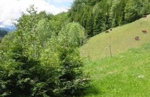 Saint-Jean-de-Sixt Apartment | Spacious furnished apartment overlooking the Aravis range, sunny, quiet, 76 m2