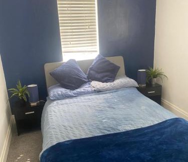 Thornton House | Spacious Guest House Thornton Road, London