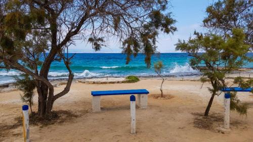 Kontos House | Spacious holiday house with seaview and garden