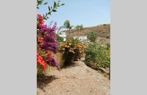 Velez-Malaga Apartment | Spacious house with sea view