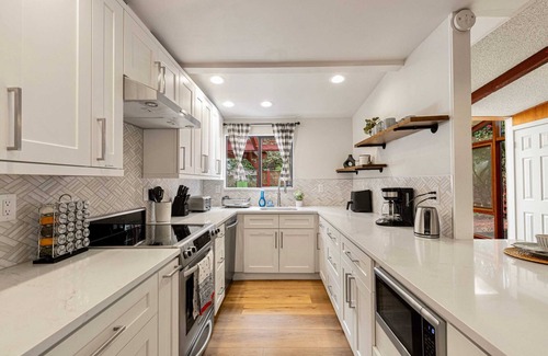Meridian Park House | Spacious Mid Century Modern Sunroom Rambler with Portable AC