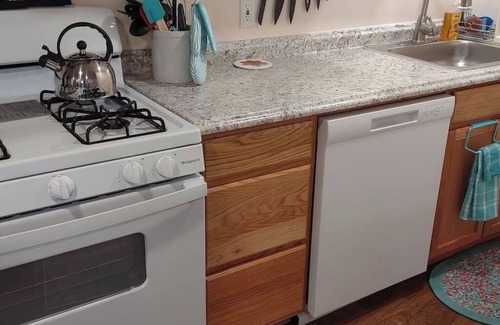 Bellepoint Apartment | Spacious New River View, fenced yard, pets welcome, sleeps 5 adults.