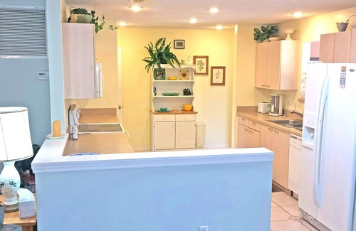 Lady Lake House | Spacious, open, home on a nature preserve/wetland, with Golf Cart!