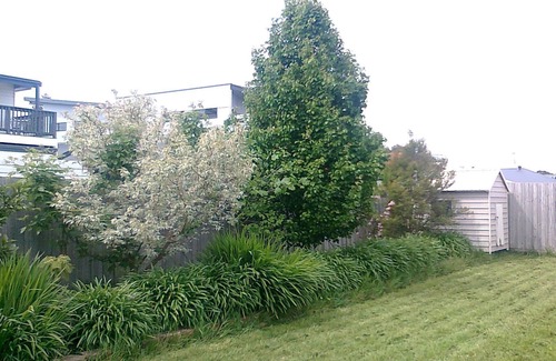 Inverloch House | Spacious, pet friendly and walking distance to the beach
