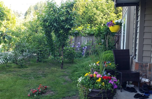Richmond House | SPACIOUS. QUIET ROOM W PRIVATE BATHROOM IN GREAT HOUSE