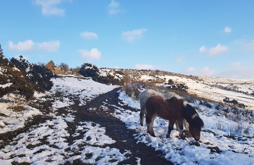 Moretonhampstead Ski Chalet | Spacious Riverside Lodge in a beautiful wooded Dartmoor valley **pet friendly**