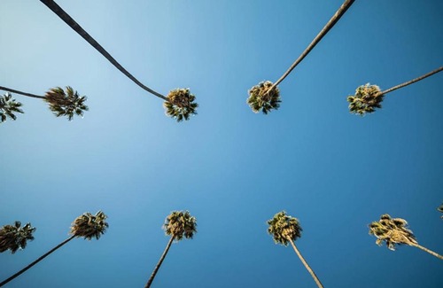 Los Angeles Apartment | Spacious Studio - Hollywood Pool, Parking, Sauna