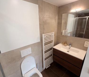 Sint-Lambrechts-Woluwe House | Spacious suite with private bathroom