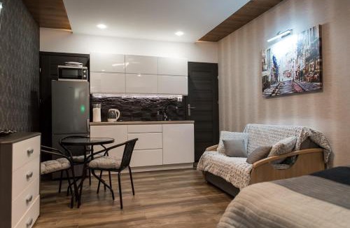 Klodzko Miasto Apartment | Spadzista 4