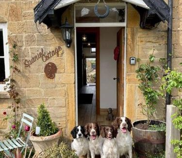 Stoke-sub-Hamdon House | Spaniel Cottage with views of Ham hill, Stoke sub Hamdon