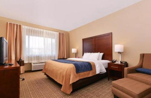 Fountain Hills Hotel | Spark by Hilton Fountain Hills Scottsdale