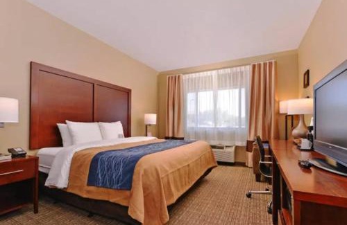 Fountain Hills Hotel | Spark by Hilton Fountain Hills Scottsdale