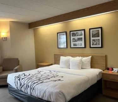 Lynchburg Hotel | Spark by Hilton Lynchburg