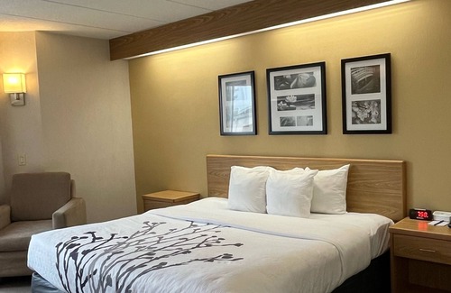 Lynchburg Hotel | Spark by Hilton Lynchburg