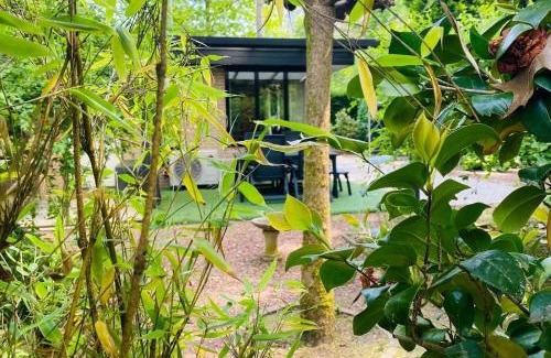 Rekem House | Spechthuisje, 4-pers bungalow in Rekem