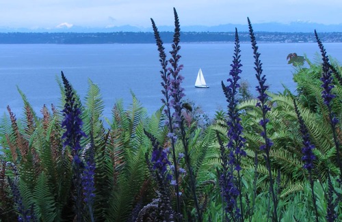 Rollingbay Apartment | Spectacular views of Puget Sound, Mt. Baker, Cascade Mountains to Seattle!
