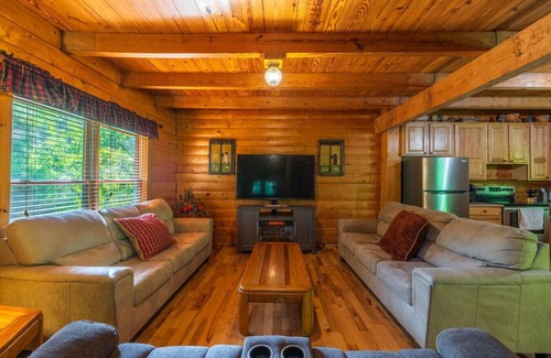 Lancaster Cabin | *Spectrum Wi-Fi, firepit, pet friendly, playground