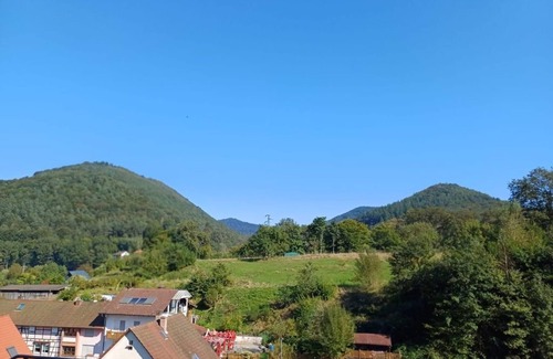 Schonau House | Sperlingshäusel - vacation home, shower or bath, WC, 2 bedrooms