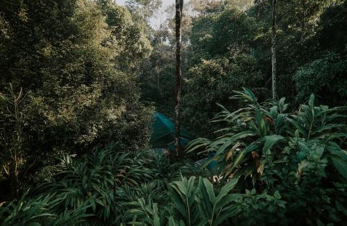 Bison Valley House | Spice Legoon Munnar