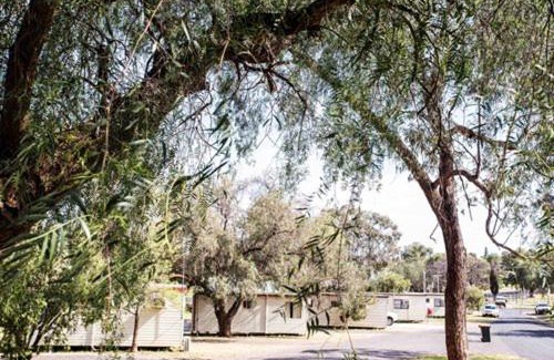 Parkes Resort | Spicer Caravan Park